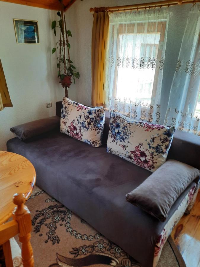 Вила Здравец Yagodina Extérieur photo