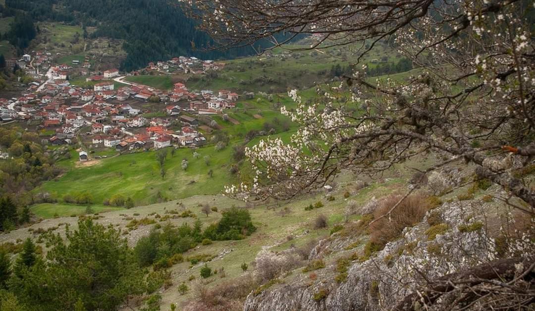Вила Здравец Yagodina Extérieur photo
