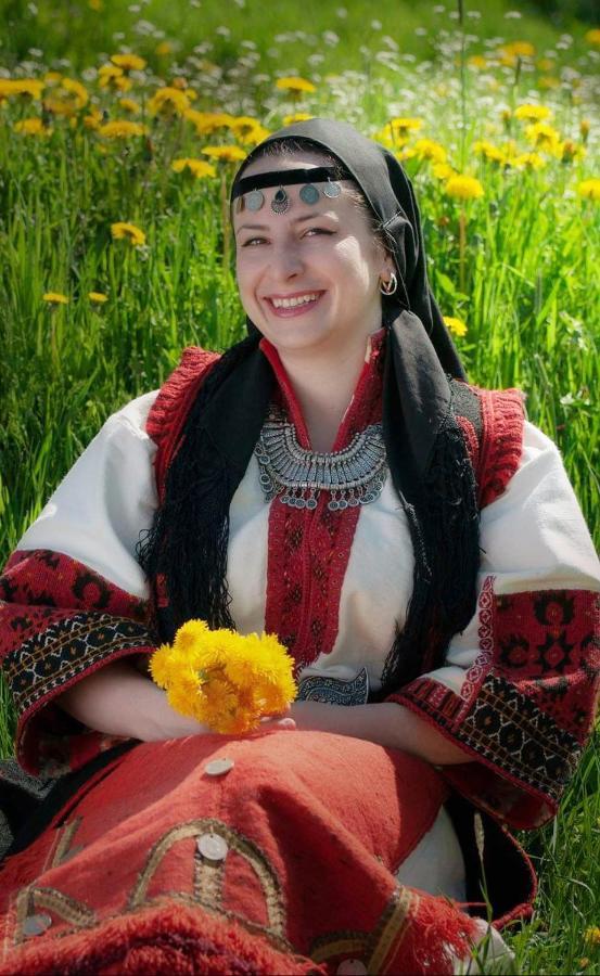 Вила Здравец Yagodina Extérieur photo
