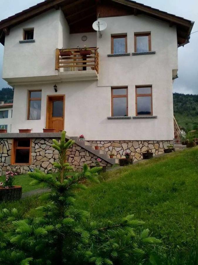 Вила Здравец Yagodina Extérieur photo