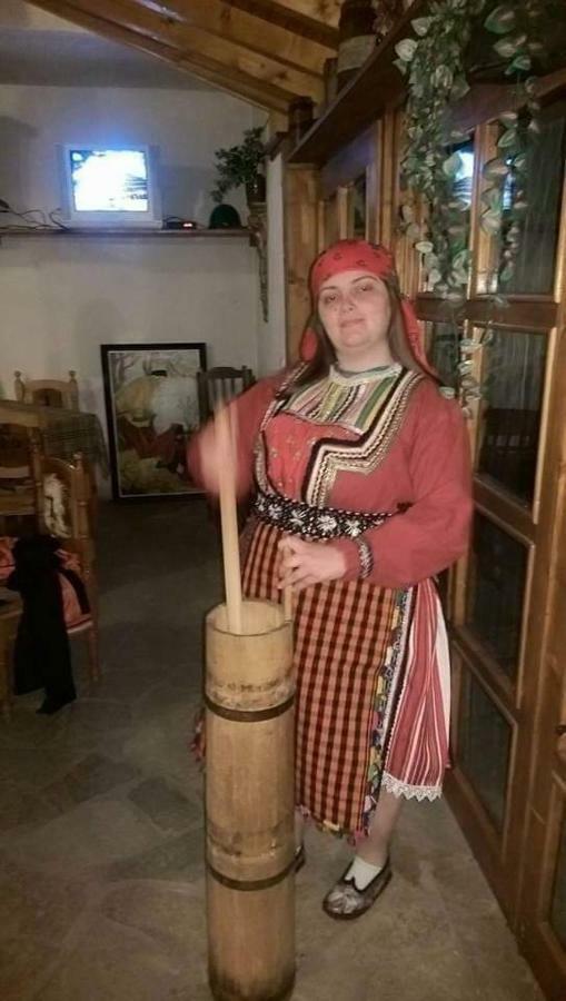 Вила Здравец Yagodina Extérieur photo