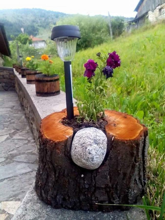 Вила Здравец Yagodina Extérieur photo